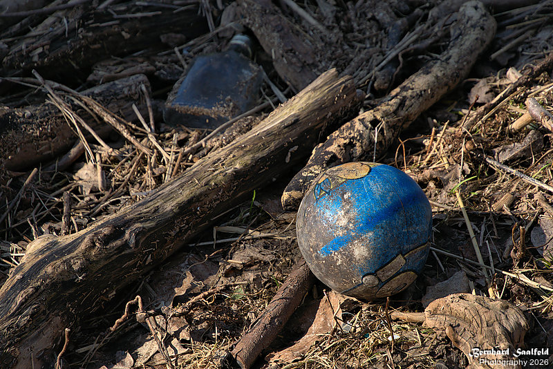 Bernhard Saalfeld - DSC01543 -1